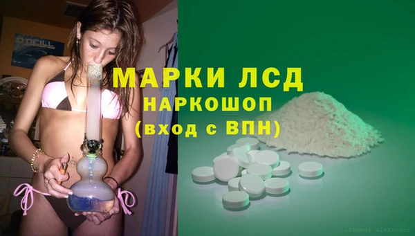 индика Магас