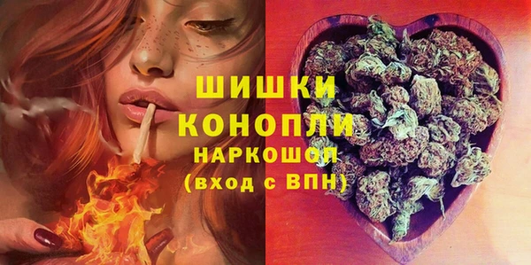 индика Магас