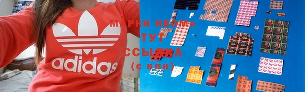 индика Магас