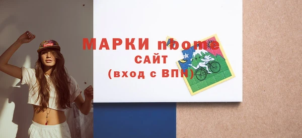 индика Магас