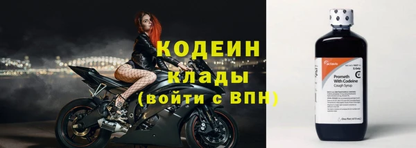 индика Магас
