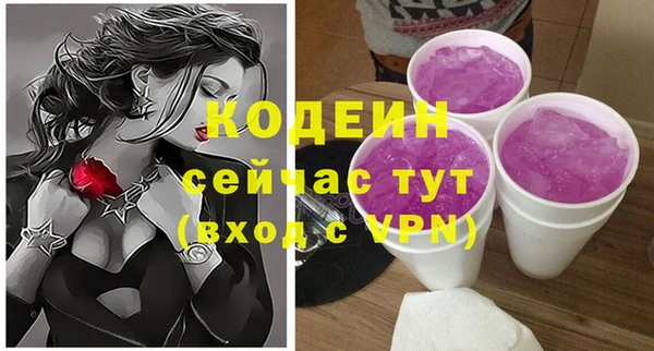 индика Магас