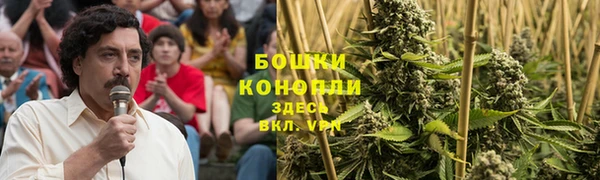 индика Магас
